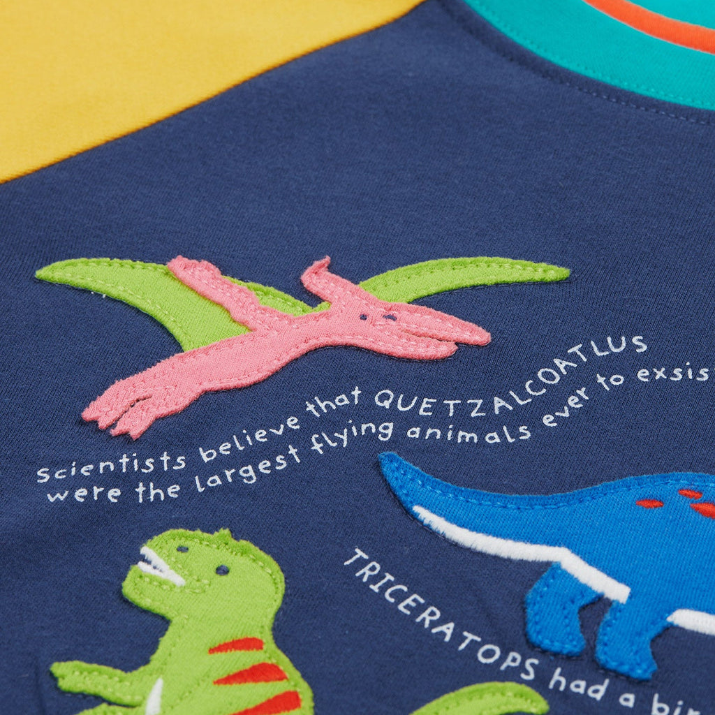Short-sleeved raglan t-shirt- dinosaur appliqué