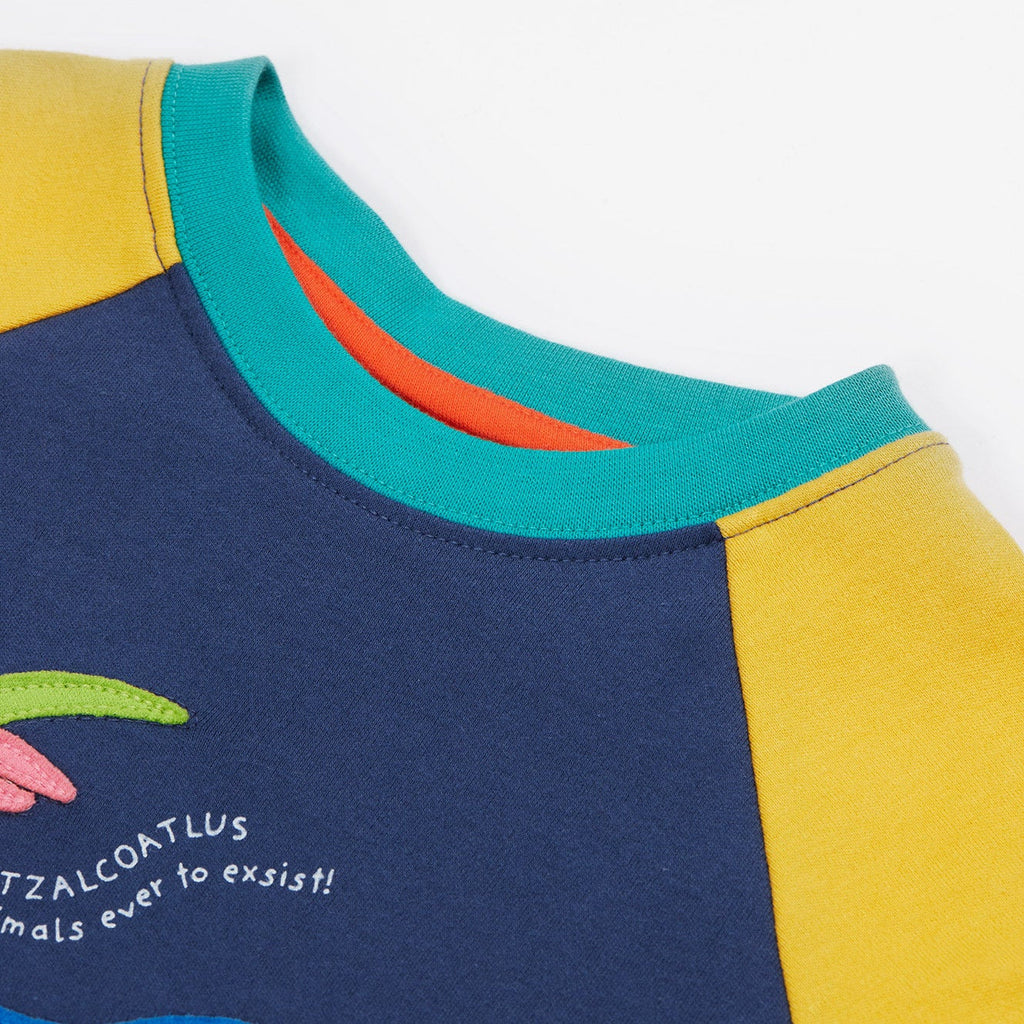 Short-sleeved raglan t-shirt- dinosaur appliqué