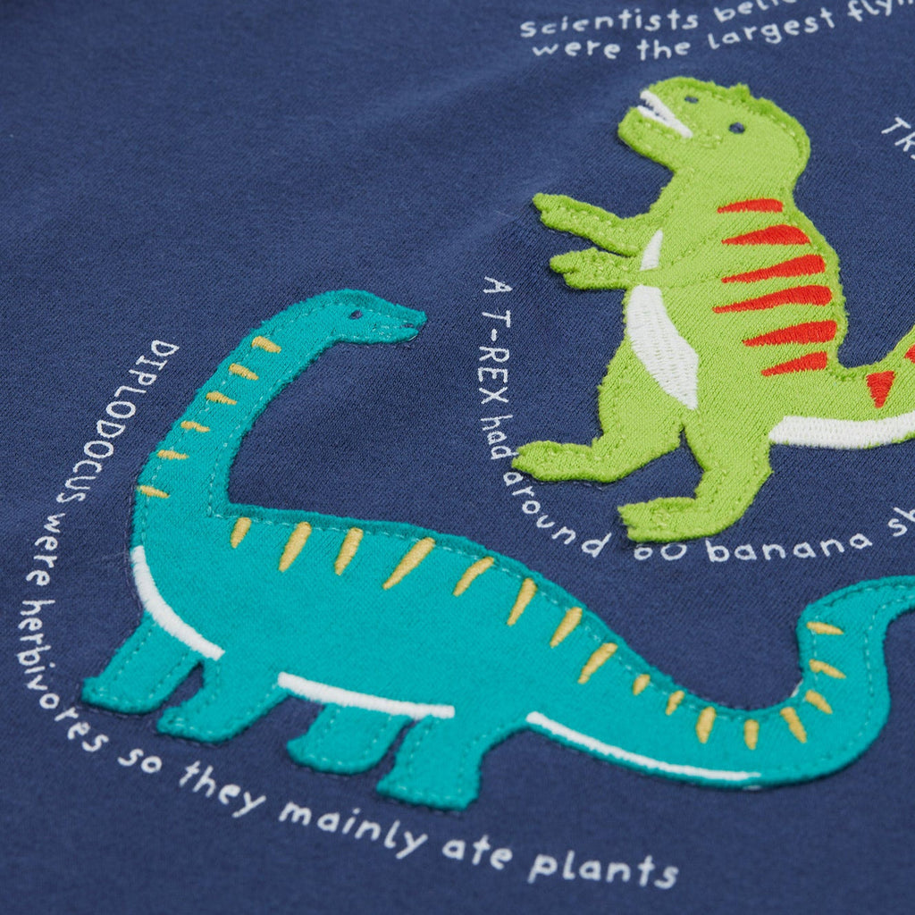 Short-sleeved raglan t-shirt- dinosaur appliqué