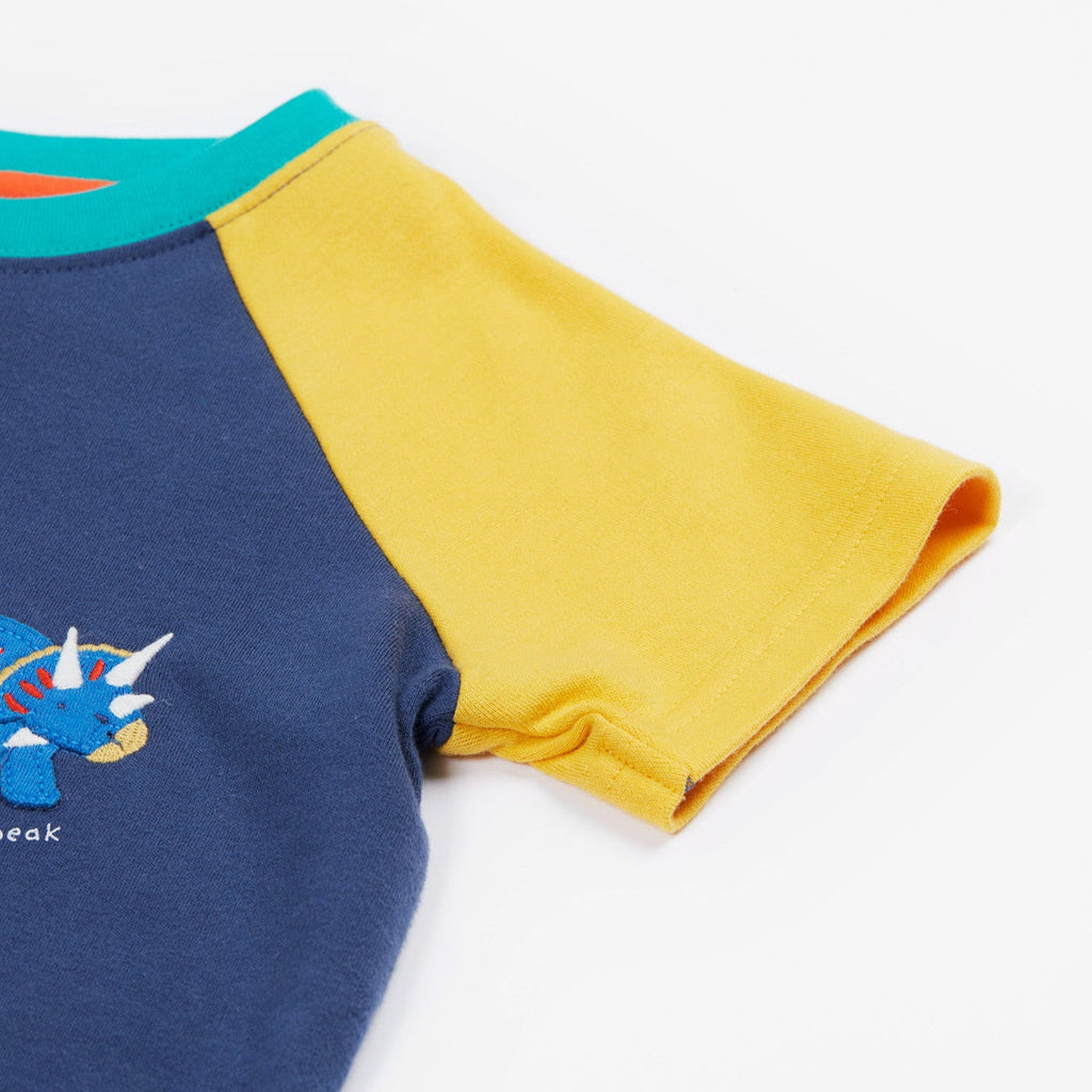 Short-sleeved raglan t-shirt- dinosaur appliqué