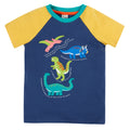 Short-sleeved raglan t-shirt- dinosaur appliqué