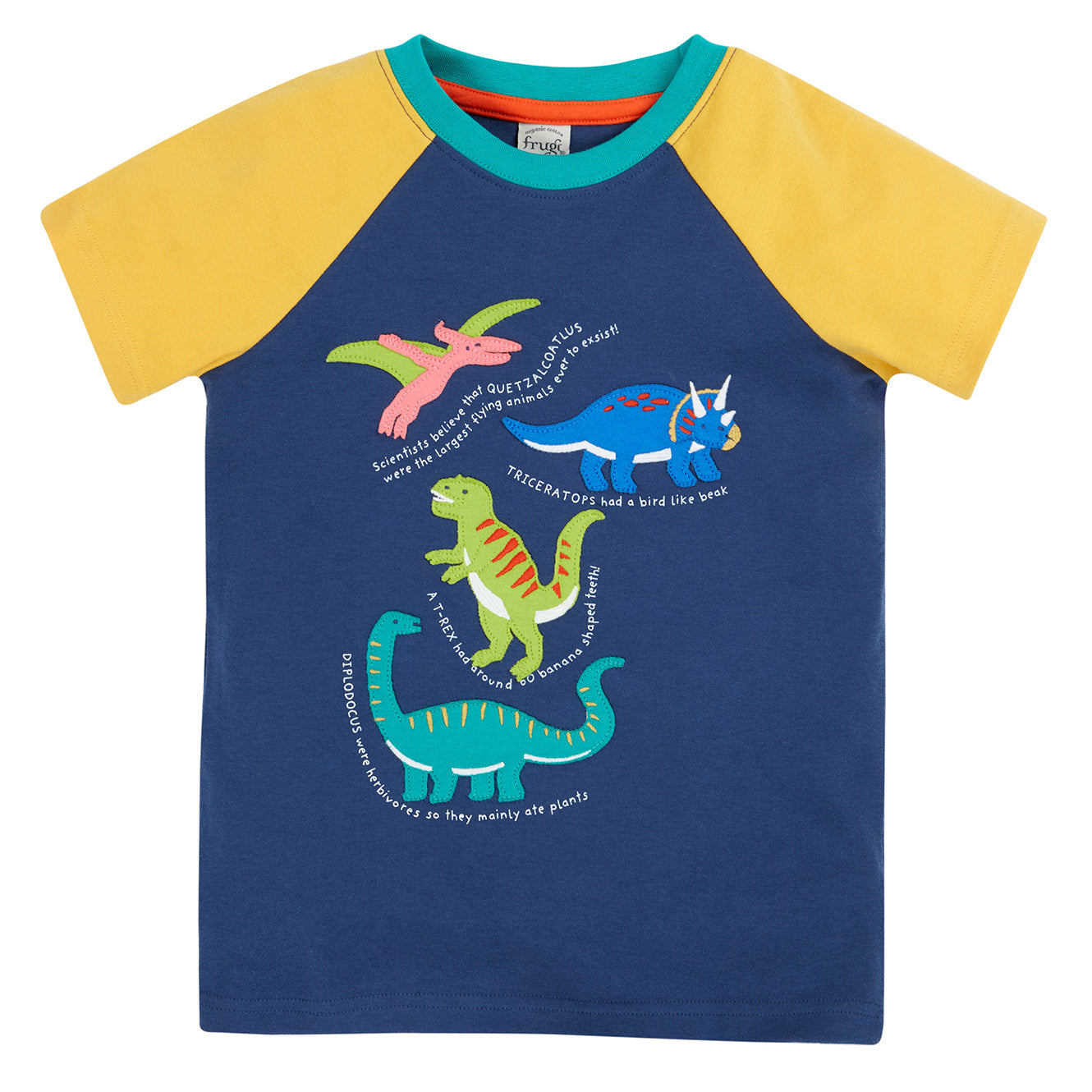 Short-sleeved raglan t-shirt- dinosaur appliqué