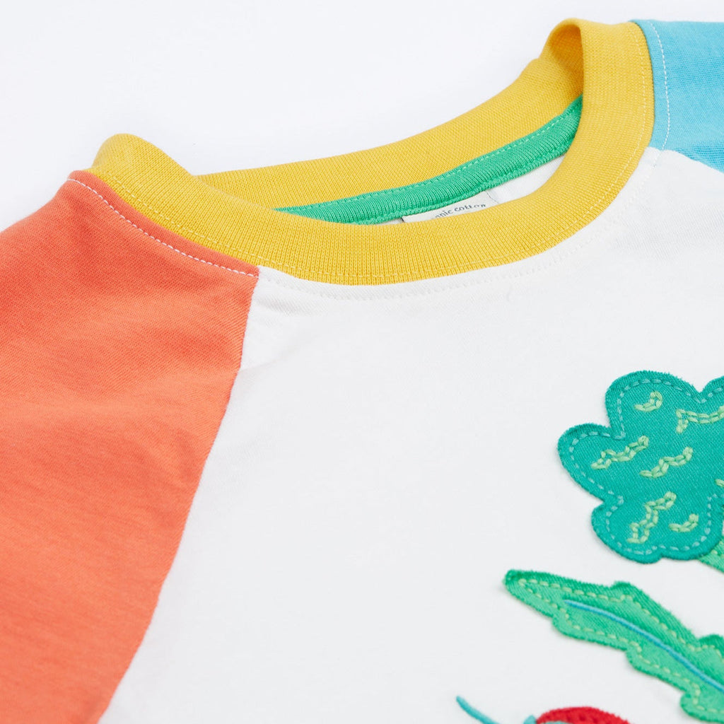 Short-sleeved raglan t-shirt- vegetable pals appliqué