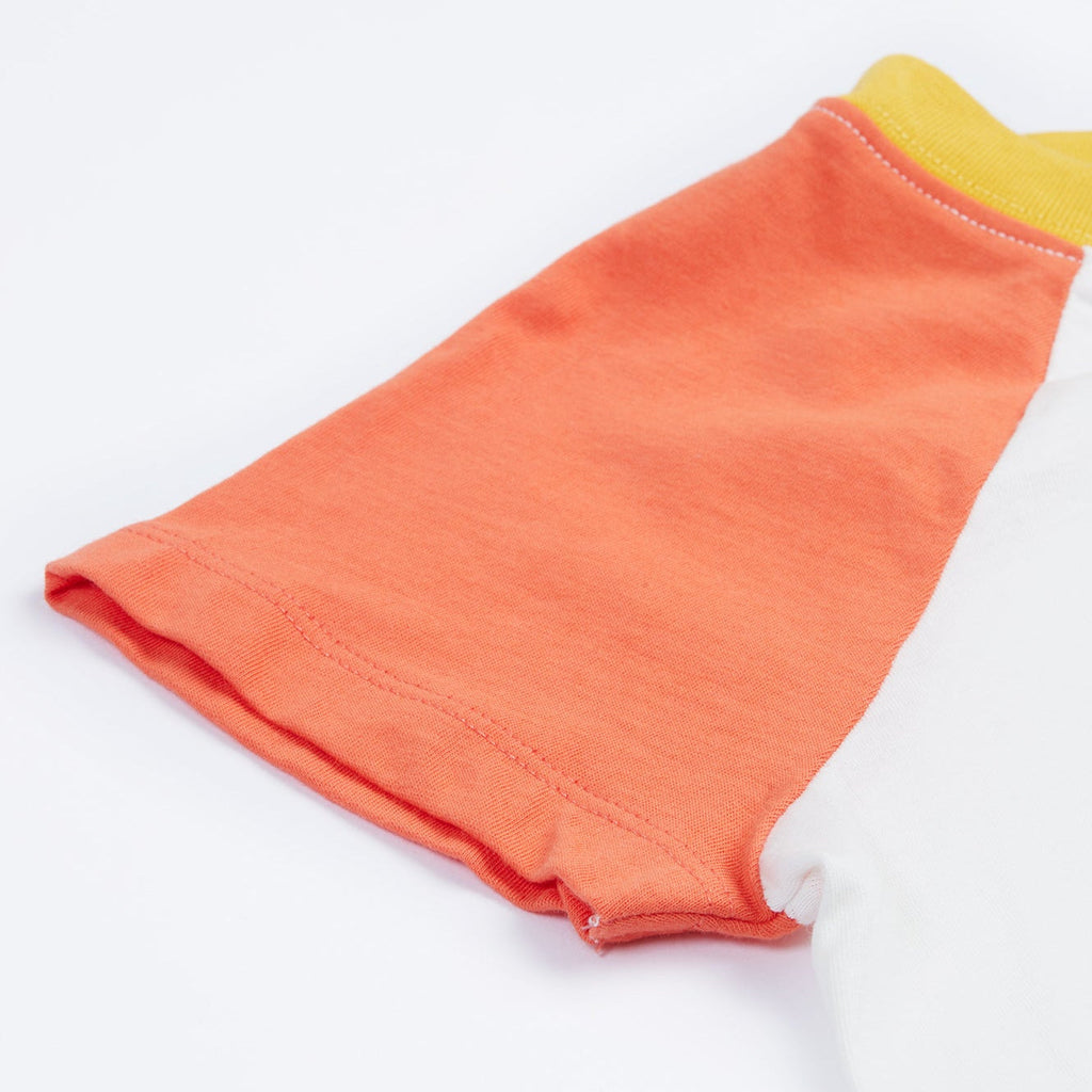 Short-sleeved raglan t-shirt- vegetable pals appliqué