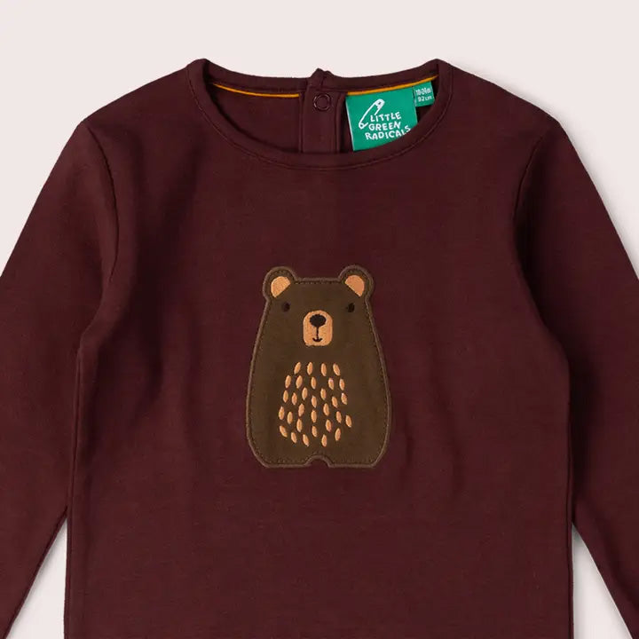 Long sleeved t-shirt- teddy bear appliqué