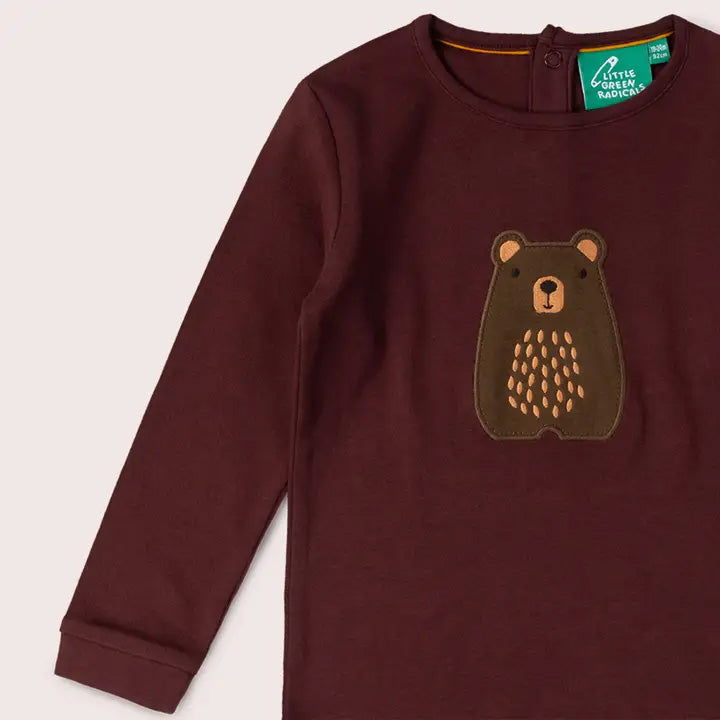 Long sleeved t-shirt- teddy bear appliqué