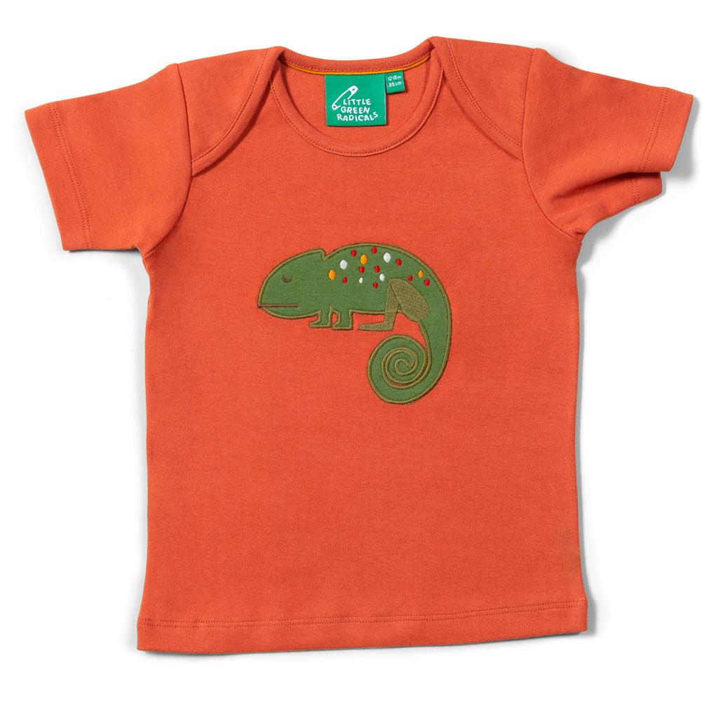 Short sleeve t-shirt- little lizard appliqué