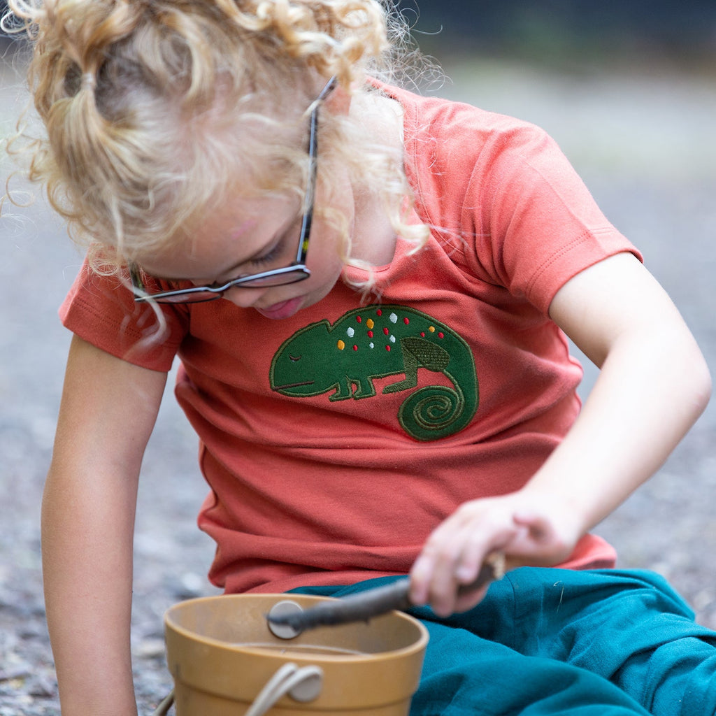 Short sleeve t-shirt- little lizard appliqué