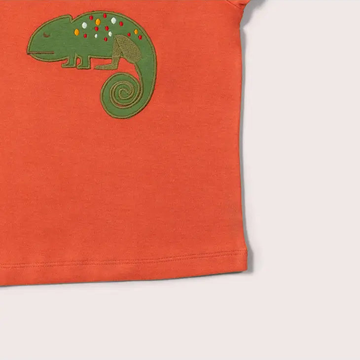 Short sleeve t-shirt- little lizard appliqué