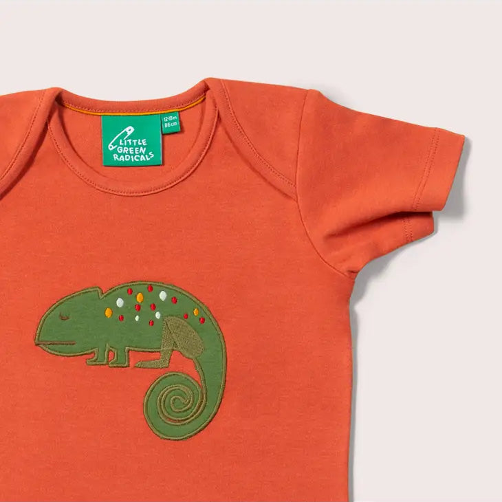 Short sleeve t-shirt- little lizard appliqué