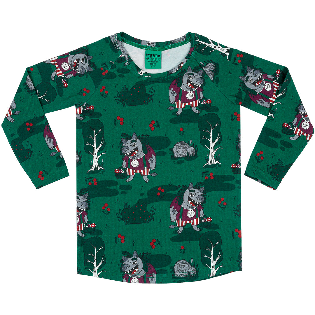 Long sleeve t-shirt- forest trolls: Size 2-3Y