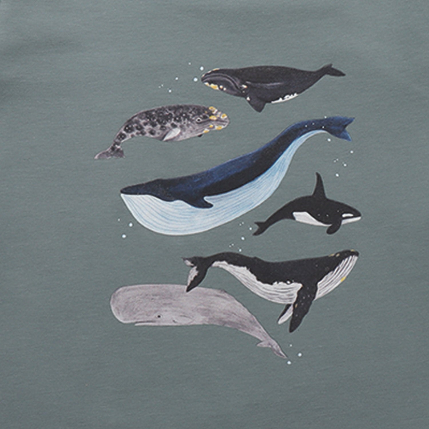 Long-sleeved t-shirt- whales