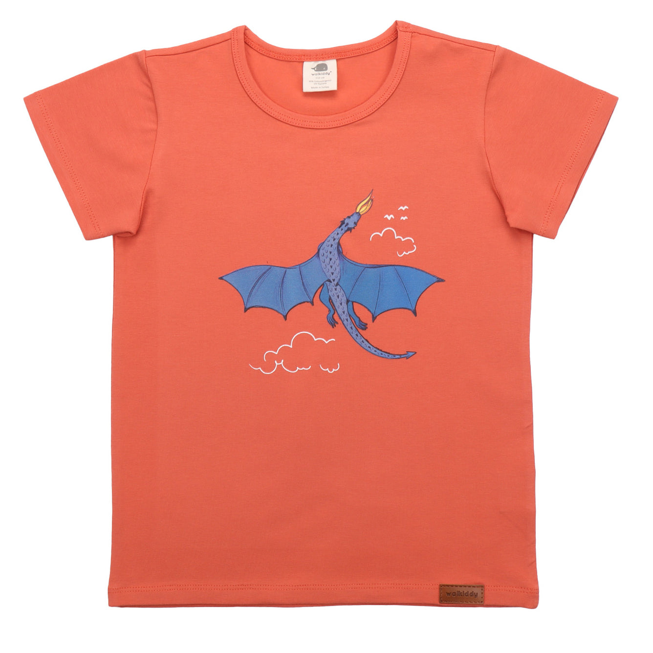 Short sleeve shirt- colorful dragon