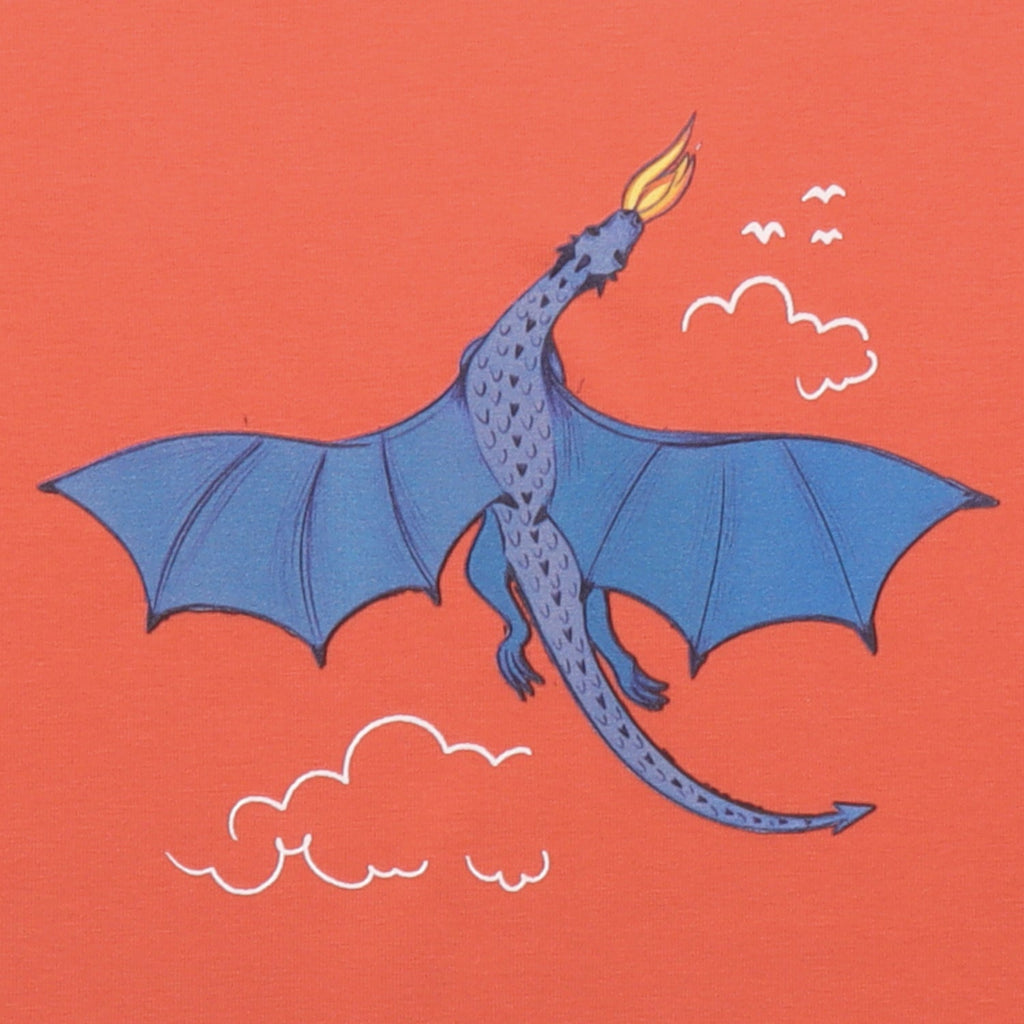 Short sleeve shirt- colorful dragon
